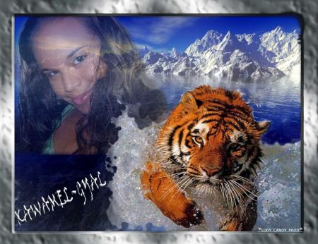 *Kawamel  gyal_tiger*